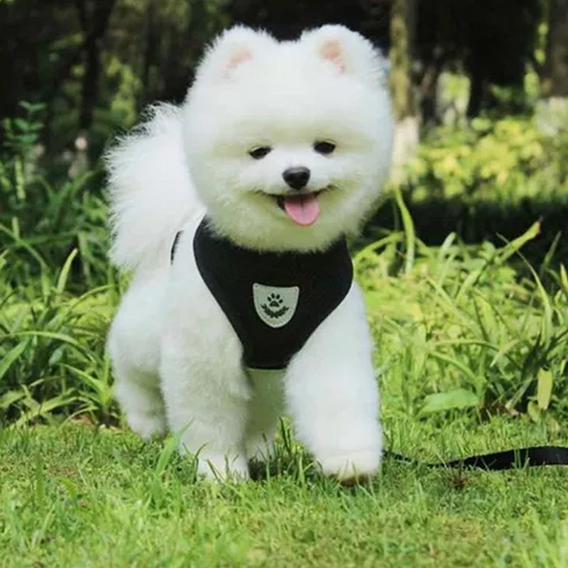 🐾 PetVeste - Coleira Peitoral Confortável para Cães e Gatos